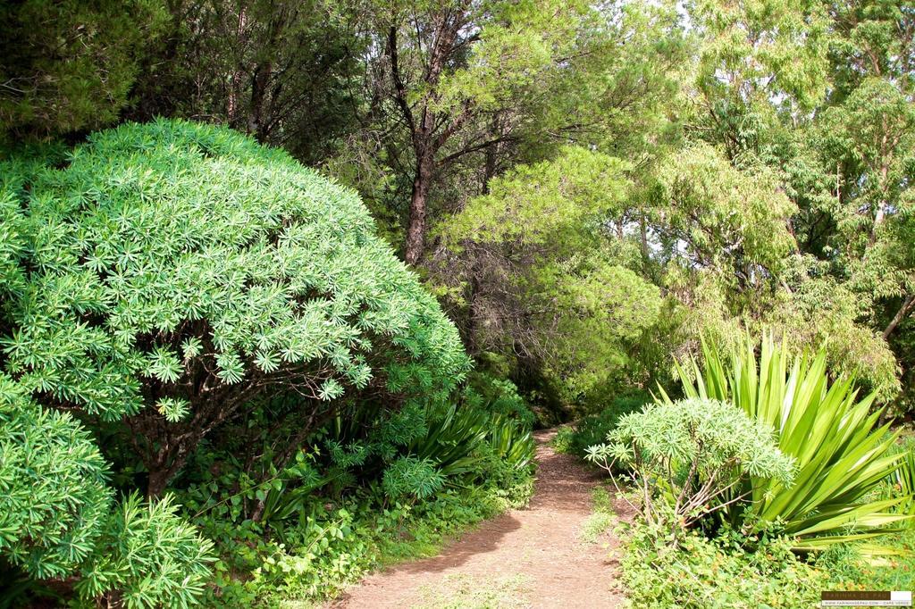 Farinha De Pau - Eco B&B Tarrafal  Экстерьер фото